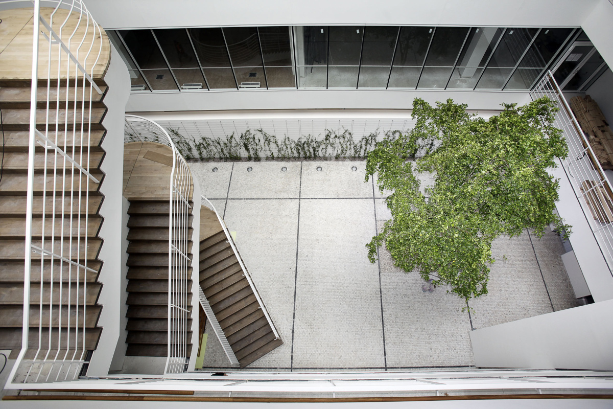 Atrium, kde vyroste „zelená stěna"