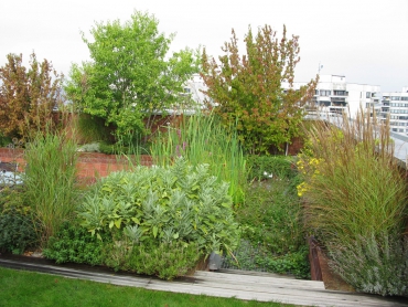 Obr. 1: Obytná střecha jako součást bytu, Praha 