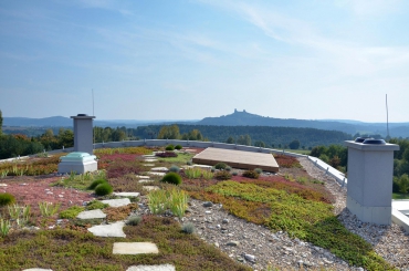 Obr. 2: Extenzivní zelená střecha na rodinném domě v Českém ráji, Štěpánovice u Rovenska