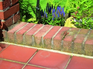 lepicí tmel Ceresit FT 101 Transparent 