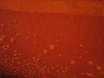 Defekty povrchové úpravy v důsledku zvýšené vlhkosti podkladu