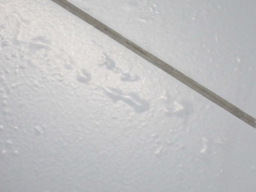 Defekty povrchové úpravy v důsledku zvýšené vlhkosti podkladu