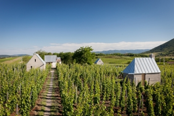 Péter Gereben, Marián Balázs: Vinice a lázně v Egeru, foto Zsolt Frikker