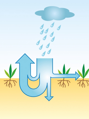 Regulovaný odtok dešťové vody je nedílnou součástí nové výstavby pro zachování přirozeného koloběhu vody – přirozené směrování vody v přírodě