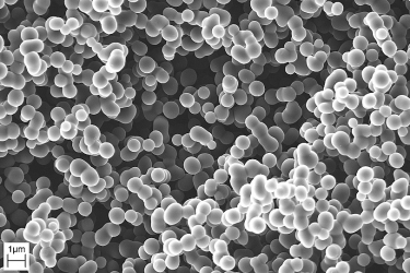 Obr. 2: Mikrostruktura granulí aerogelu