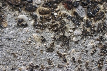 Obr. 3: Narušený srovnávací povrch betonu