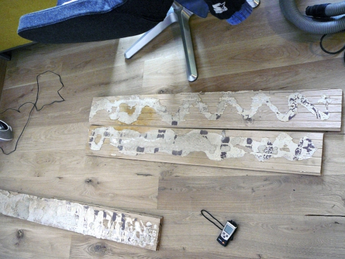 Obr. 4: Spodní líc nadzdvižených lamel