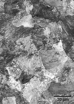 Obr. 3: Srovnání mikrostruktury ocelové a FRP výztuže – snímek z elektronového mikroskopu, vlevo řez FRP výztuží, vpravo řez ocelovou výztuží