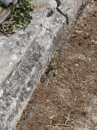 Obr. 4 a 5: Spáry, kterými se může dostávat voda do stropních konstrukcí i zdiva, vznikly při okrajích asfaltového povrchu terasy a mezi okolními konstrukcemi (zábradlí, schodiště, ozdobné prvky atd.)