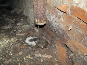 Obr. 6 a 7: Zaústění dešťové vpusti terasy do odvodňovacího kanálu, lokální koncentrace srážkové vody s projevy průsaku v interiéru