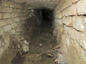 Obr. 11: Poškození kanálu prorůstáním kořenů stromu