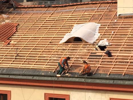 DELTA-FOXX na střeše bývalého Profesního domu Tovaryšstva Ježíšova na Malostranském náměstí, dnešní budově Matematicko-fyzikální fakulty Univerzity Karlovy. Celkem se uplatnilo cca 2000 m² pojistné hydroizolační fólie DELTA-FOXX pod zrekonstruovanou prejzovou střechou. Rekonstrukci provedla firma pana Petra Klaboucha.