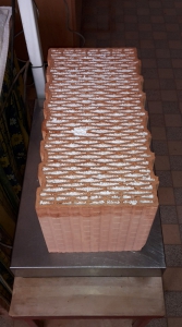 Obr. 6: Vzorek cihly zmoklé a stavbě