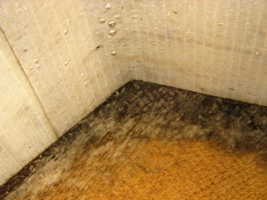 Obr. 13: Masivní kondenzace na rubu fólie 