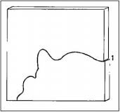 Obr. 1: Příklady prasknutí skel – trhlina může být samostatná, rozvětvená či vějířovitá