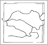 Obr. 1: Příklady prasknutí skel – trhlina může být samostatná, rozvětvená či vějířovitá