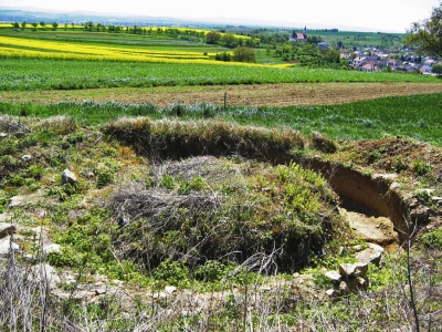 Odkryté základy větrného mlýna u Jalubí 
