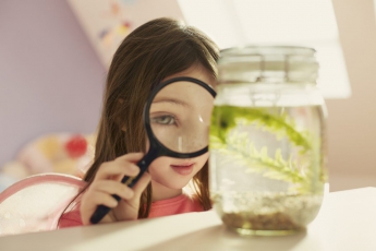 Denní světlo má významné antibakteriální účinky