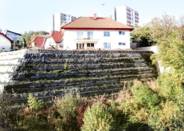 Obr. 3: Stav svahu po úpravě geotextíliemi (jaro 2003) [16]