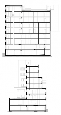 Podélný a příčný řez