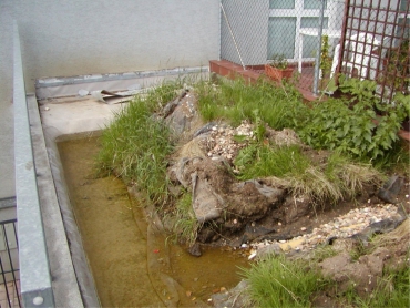 Zřejmě zde existuje zatížení zadrženou vodou ve vegetační střeše (NNV5). Návrhové namáhání podle tabulky 2 směrnice bylo o stupeň nižší.