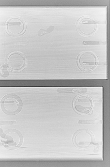 Obr. 7: Dokumentace nainfikovaných vzorků, metoda štípání a kontrola mortality larev po sanaci