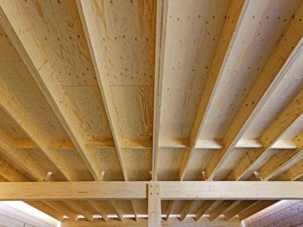 Obr. 19: Žebrový strop Kerto-Ripa [4]