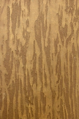 StoWood – struktura kůry stromu