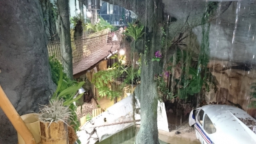 Tropický pavilon ZOO Jihlava