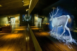 Díky poutavým videím poznáte i zvířata z doby kamenné