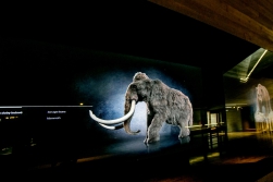 Díky poutavým videím poznáte i zvířata z doby kamenné