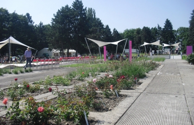 V pátek 24. 6. 2016 bylo slavnostně otevřeno rozárium v Olomouci, které je součástí místní botanické zahrady