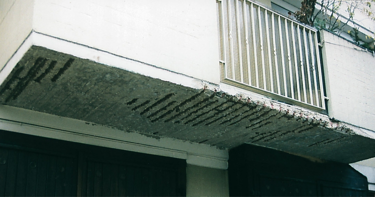 Obr. 1