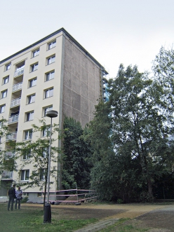 Obr. 11–14: Štít porostlý břečťanem, rizika prorůstání šlahounů do spár