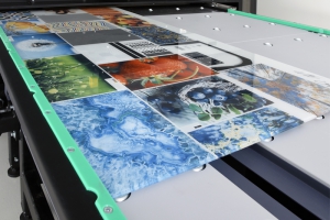 Skleněný panel s keramickým digitálním tiskem, www.frajt.cz