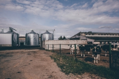 Vítěz kategorie Obec a zároveň celkový vítěz: Přístup k životnímu prostředí v Haňovicích