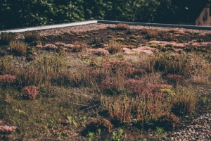 Vítěz kategorie Stavba: Dům nad vodopádem v Telči