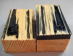 Obr. 1: Způsoby porušení lepeného spoje, porušení substrátu (meranti) [1]