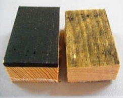 Obr. 1: Způsoby porušení lepeného spoje, adhezní porušení (borovice) [1]