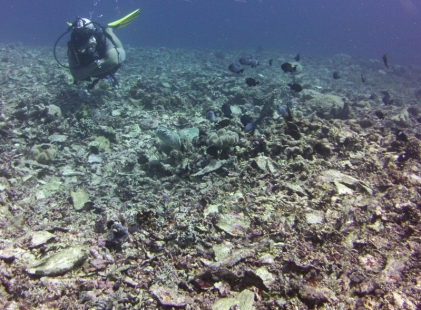 Organizace z Malajsie za restaurování korálových útesů 