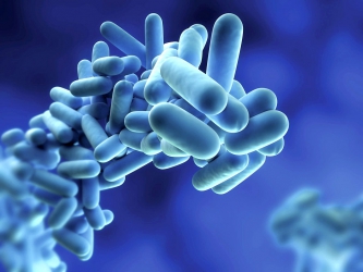 Bakterie rodu Legionella