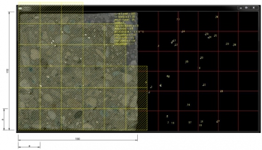 Princíp analýzy homogenity prvého rádu