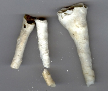 Obr. 11c: Ocelová spřažená konstrukce otočného hlediště, navržená jako provizorium. Zatéká do ní řadu let, až vznikly „stalaktity“ dlouhé až 70 mm vyluhované z konstrukce hlediště (foto z března 2006).