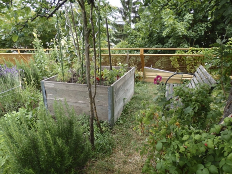 Kromě zalévání a hnojení, které lze vyřešit automatickými systémy, je nutné například odstraňovat nálet nežádoucích rostlin, listí a staré odumřelé rostliny. Proto se na střešní zahradu umisťuje někdy i kompost.