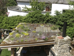 Nejčastějším typem ozeleněných střech jsou tzv. úsporné, s nízkou extenzivní vegetací. Jsou nenároční na údržbu a cenově nejdostupnější.