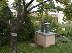 Na střeše je možné pěstovat i stromy. To vyžaduje ale pečlivou přípravu už ve fázi projektu, aby střecha tuto zátěž staticky vydržela.