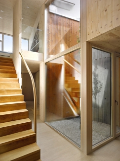 Vnitřní dvorek se stromem dům prosvětluje