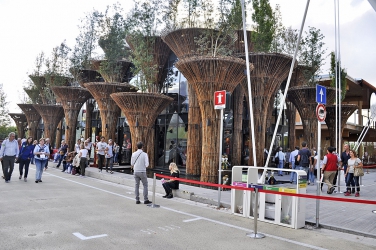 Obr. 15:  Sloupy z bambusu stály před proskleným průčelím vietnamského pavilonu