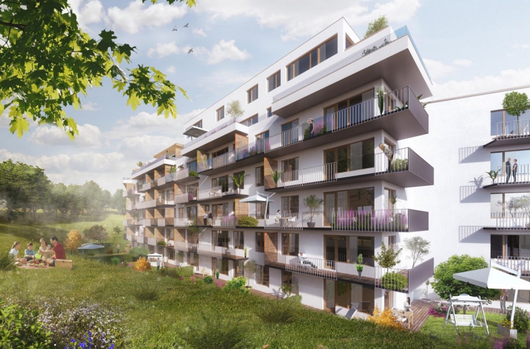 Projekt Aalto Cibulka