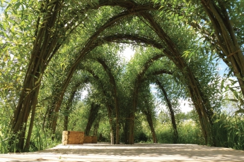 Vrbové konstrukce; Jiří Rech